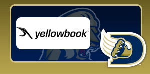 yellowbook